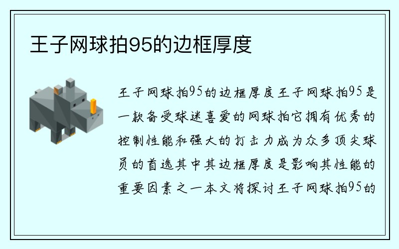 王子网球拍95的边框厚度