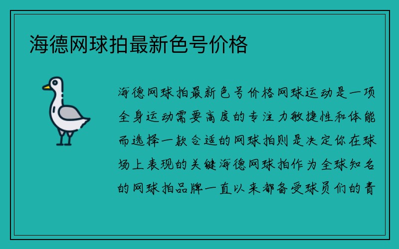 海德网球拍最新色号价格