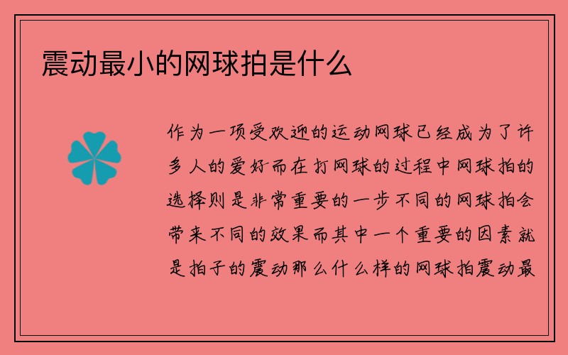 震动最小的网球拍是什么