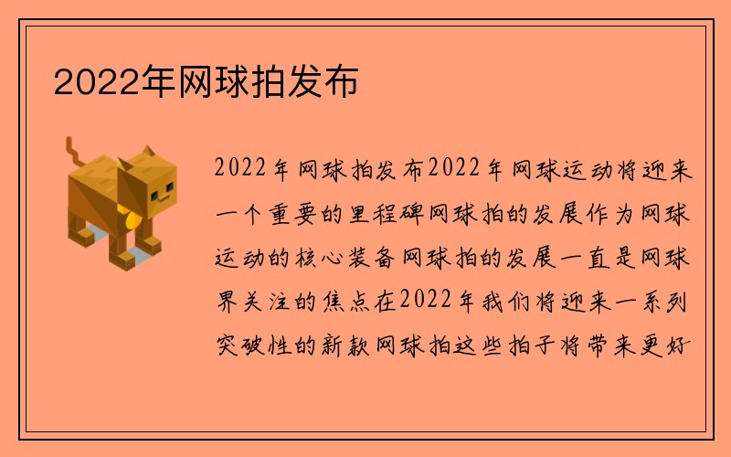 2022年网球拍发布