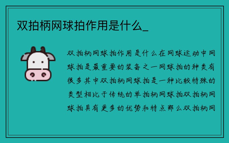 双拍柄网球拍作用是什么_