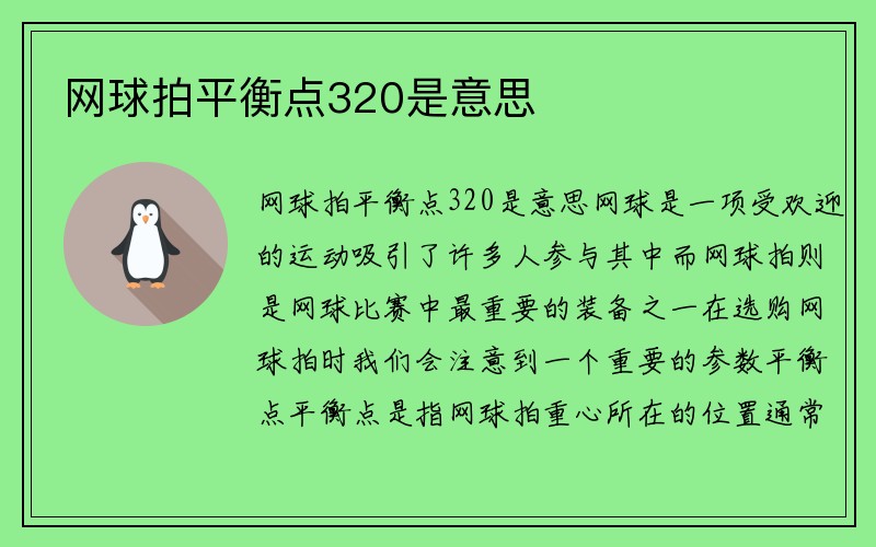 网球拍平衡点320是意思