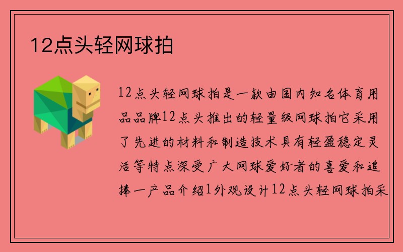 12点头轻网球拍