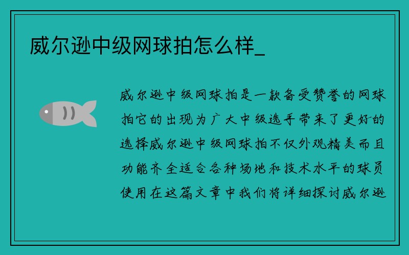 威尔逊中级网球拍怎么样_