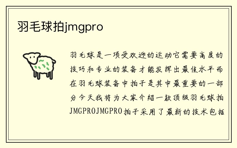 羽毛球拍jmgpro