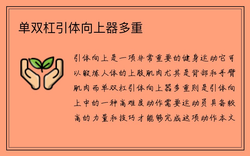 单双杠引体向上器多重